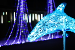 イルミネーション1