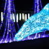 イルミネーション1