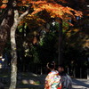 岡崎城の秋3