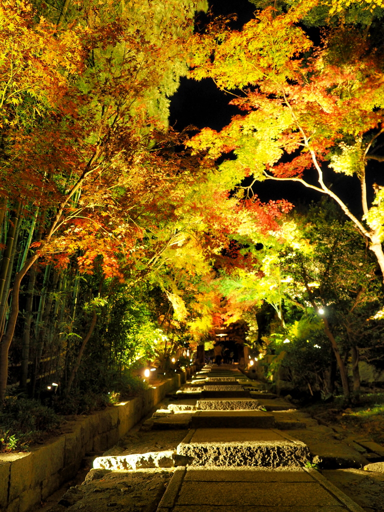 高台寺参道