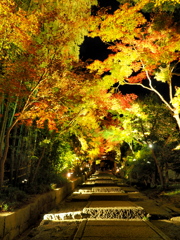 高台寺参道