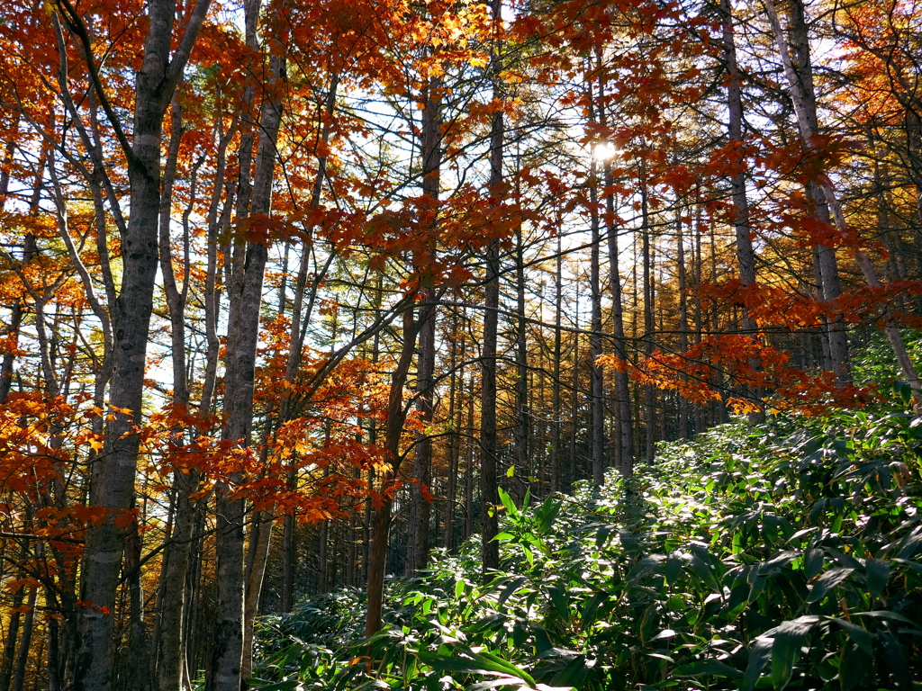 恵那山3