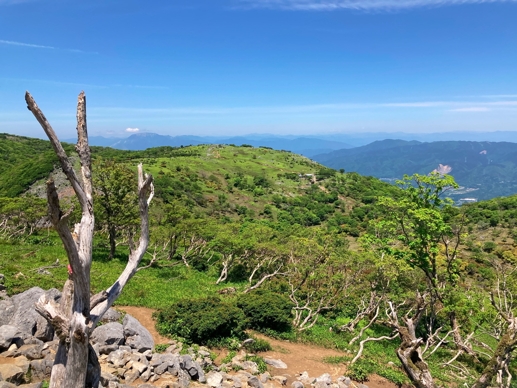 山頂より伊吹山方面