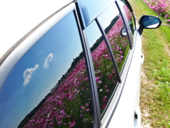 まいカー2