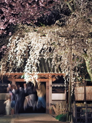 源空院4