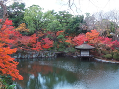 和歌山城6