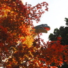 岡崎東公園2