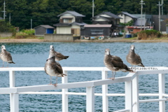 手すりに上らないで下さい