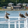 手すりに上らないで下さい