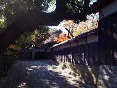 貞照院1