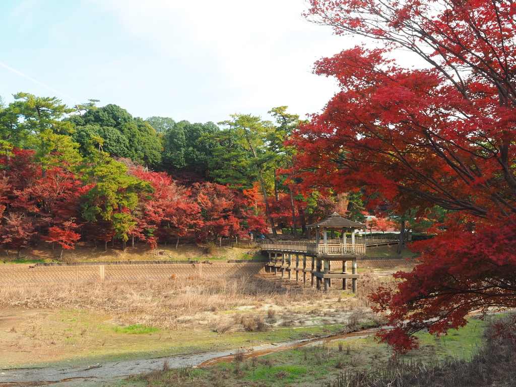岡崎東公園5