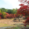 岡崎東公園5