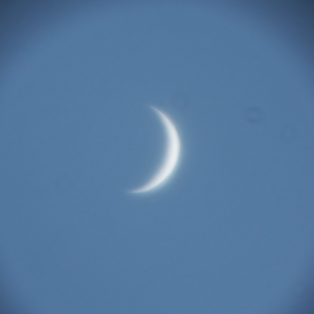 金星