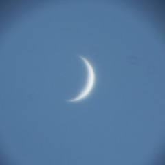 金星