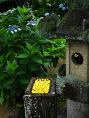 本光寺4
