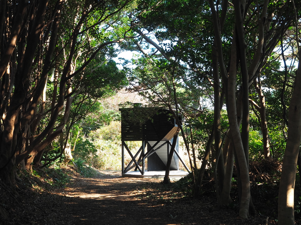 秘密基地／アポロ