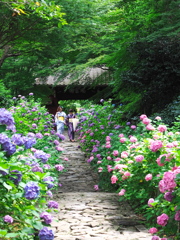 本光寺2