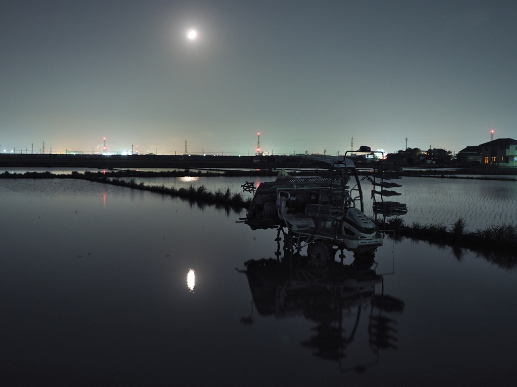 田植えの夜