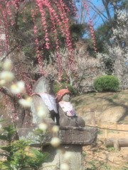 うめ日和