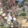 うめ日和