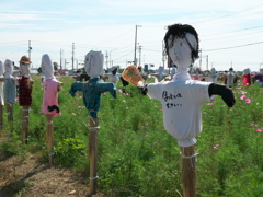 居直った案山子