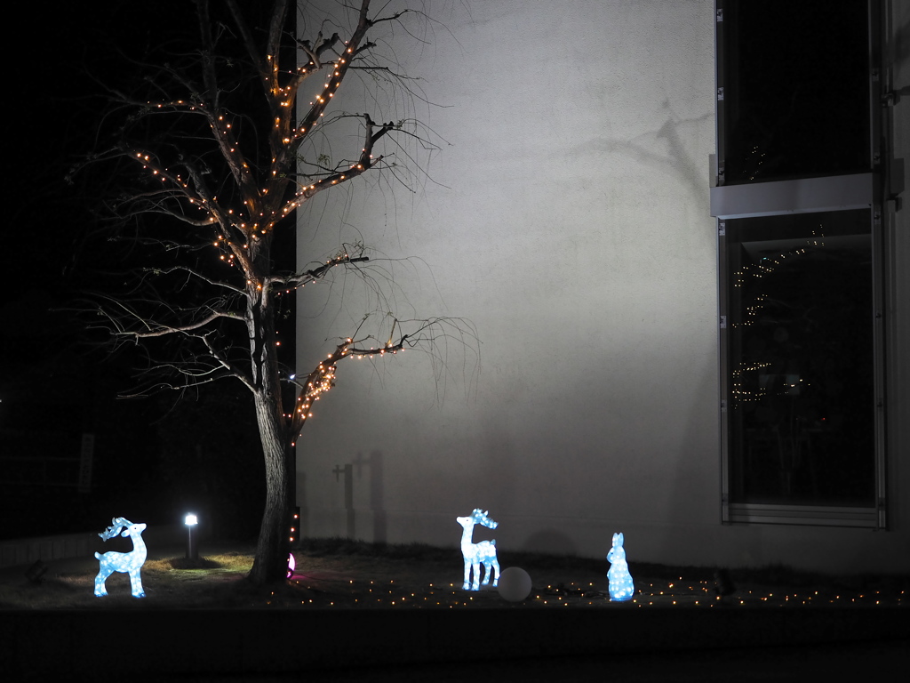 イルミネーション3