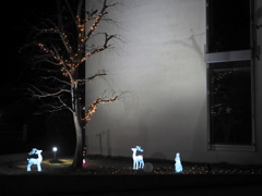 イルミネーション3