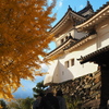 和歌山城2