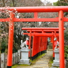 天神様の梅2