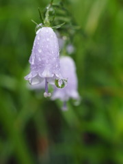 雨の日には
