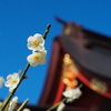 天神様の梅1