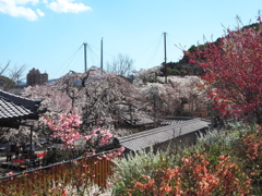 源空院3