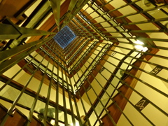 名古屋城の春06