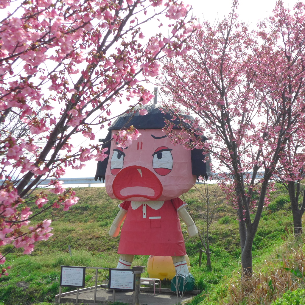 チコちゃん春です
