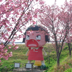 チコちゃん春です