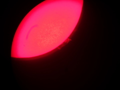 1217プロミネンス