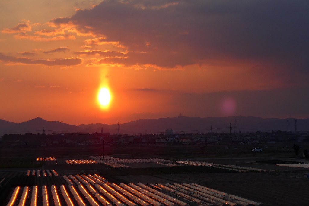 楕円の太陽