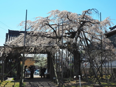 宿縁寺1
