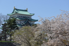 名古屋城の春01