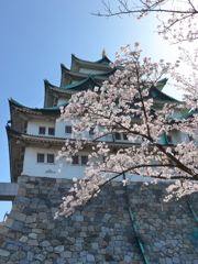 名古屋城の春04