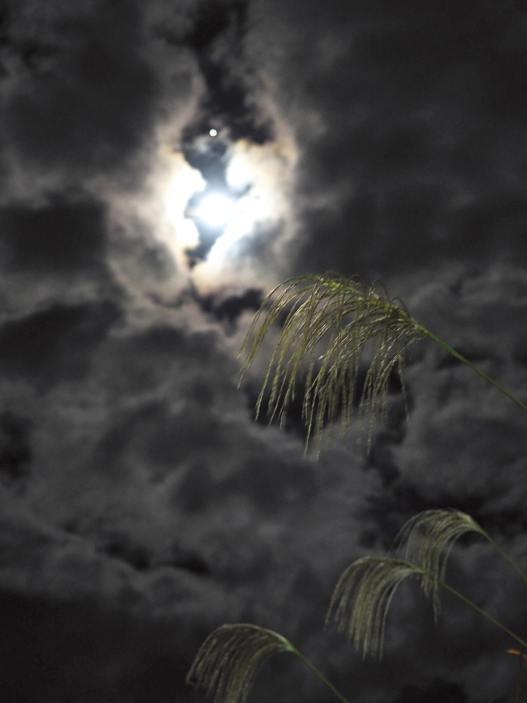 月に叢雲