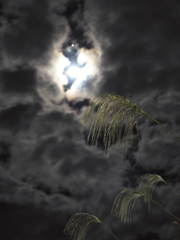 月に叢雲