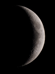 0124の月