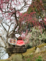 天神様の梅4