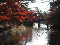 岡崎東公園1