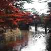 岡崎東公園1