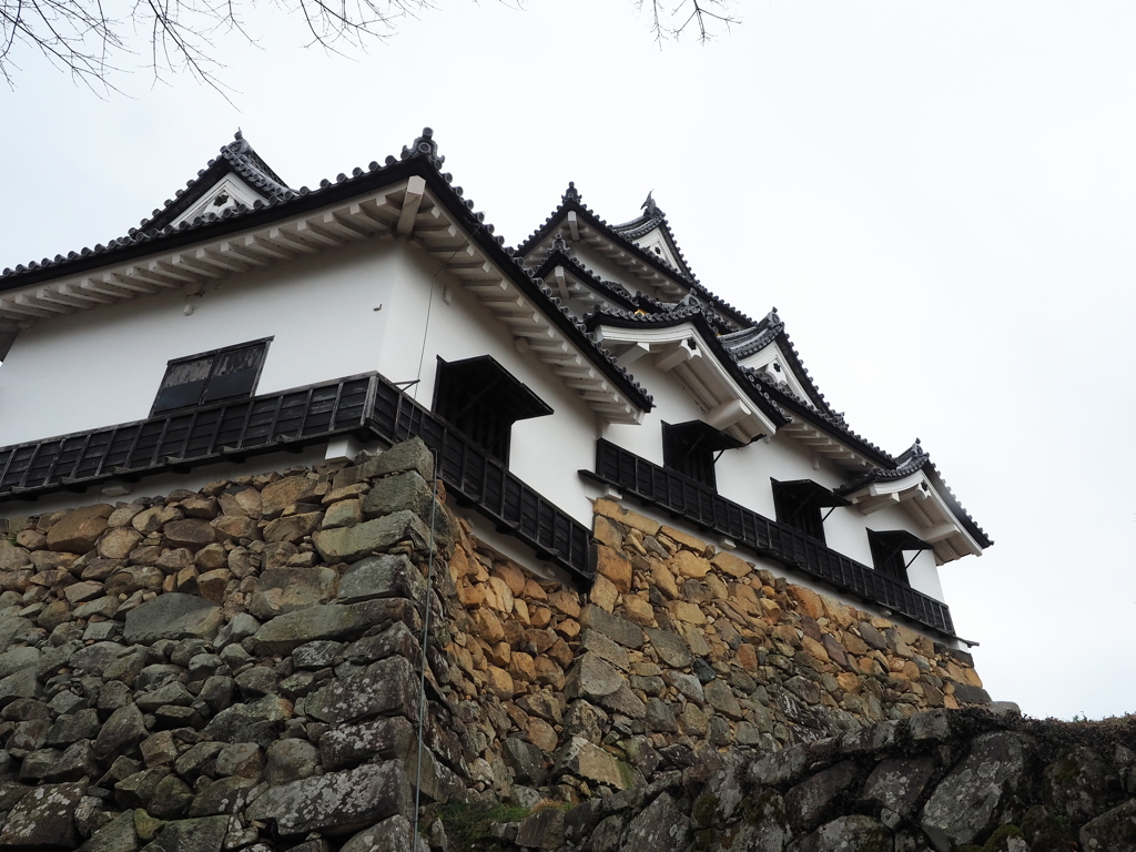 彦根城3