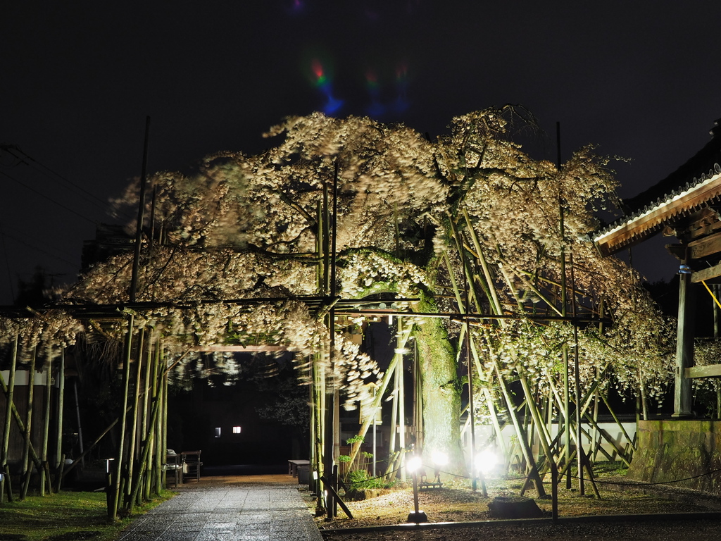 宿縁寺2