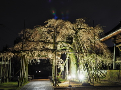 宿縁寺2