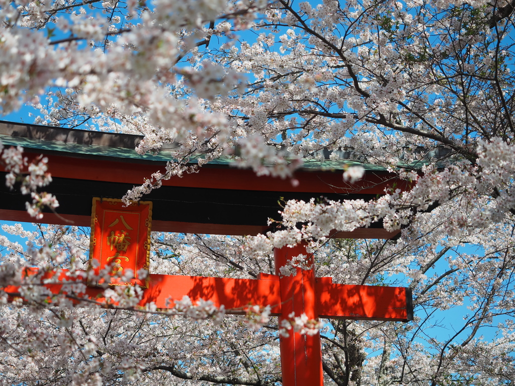 八幡宮